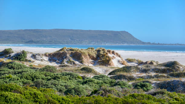 istock Noordhoek beach at Chapman's Bay. 922830194