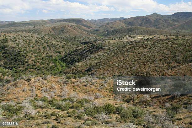 Paisaje Del Desierto Alto Foto de stock y más banco de imágenes de Aire libre - Aire libre, Amarillo - Color, Arbusto