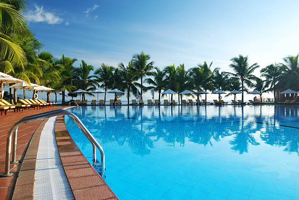 Poolside view of tropical pool surrounded by palm trees stock photo