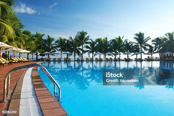 Poolside View Of Tropical Pool Surrounded By Palm Trees Stock Photo - Download Image Now