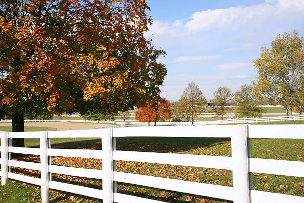 istock Horse Farm Pastures 92284419