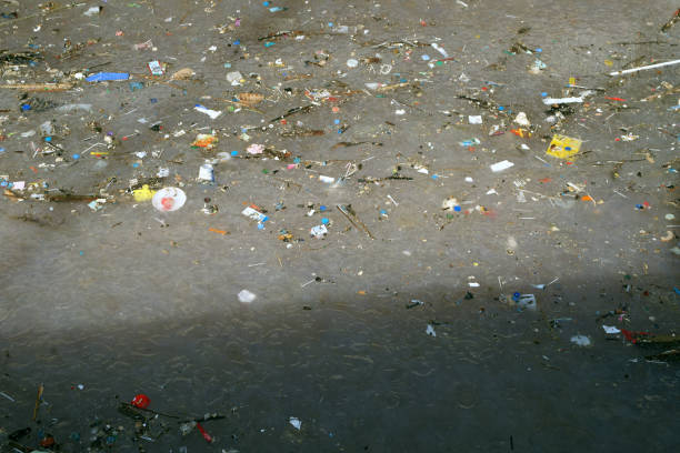 istock sea pollution and Jellyfishs 922846668