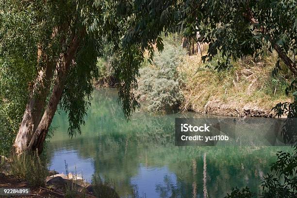 Foto de Rio Jordão e mais fotos de stock de Arbusto - Arbusto, Azul, Bosque - Floresta