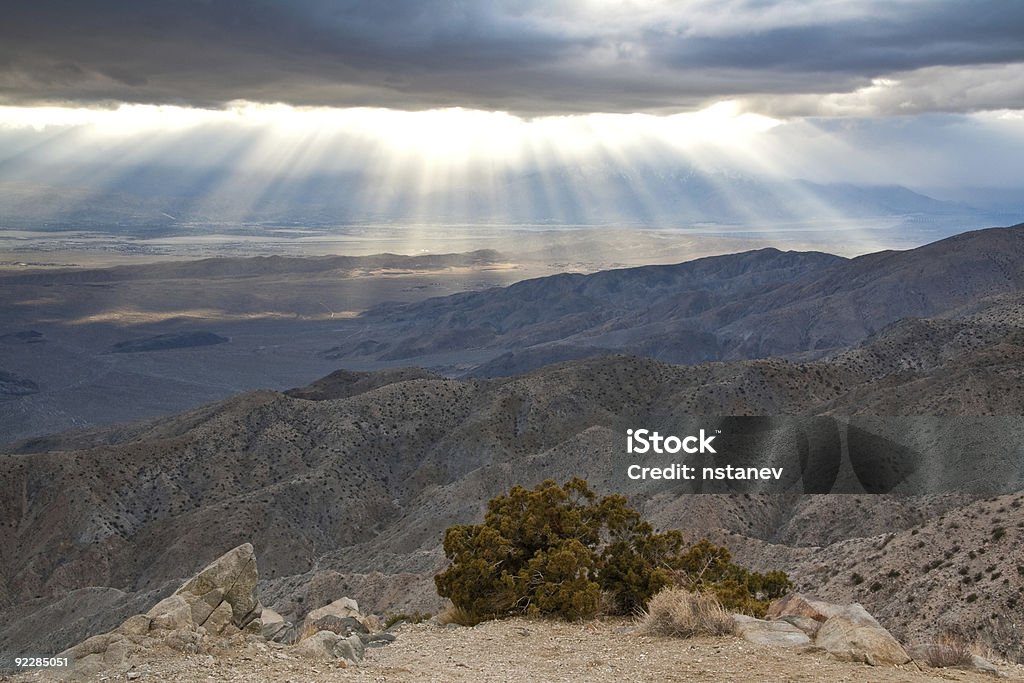 Coucher de soleil dans le désert de Mojave - Photo de Arbre de Josué libre de droits