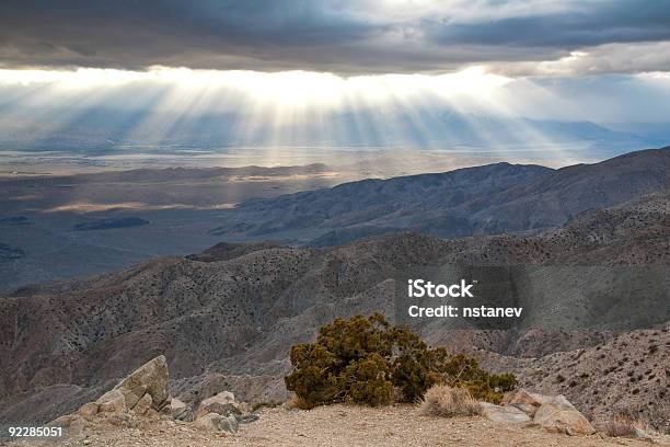 Photo libre de droit de Coucher De Soleil Dans Le Désert De Mojave banque d'images et plus d'images libres de droit de Arbre de Josué - Arbre de Josué, Paysages, Parc National de Joshua Tree