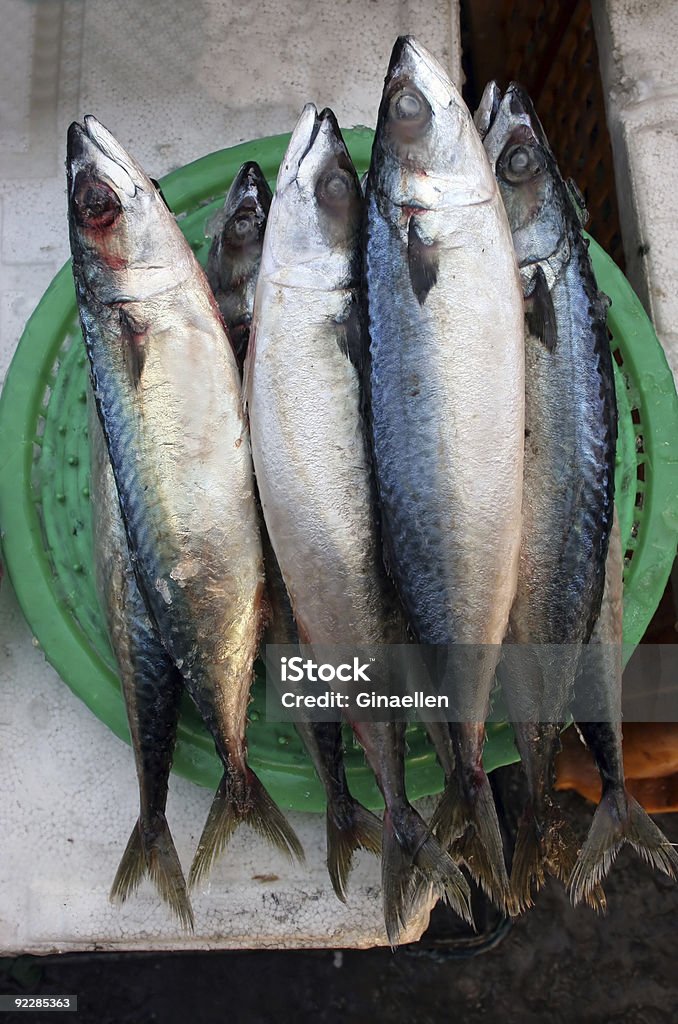 Mercado de peixes - Foto de stock de Alimentação Saudável royalty-free