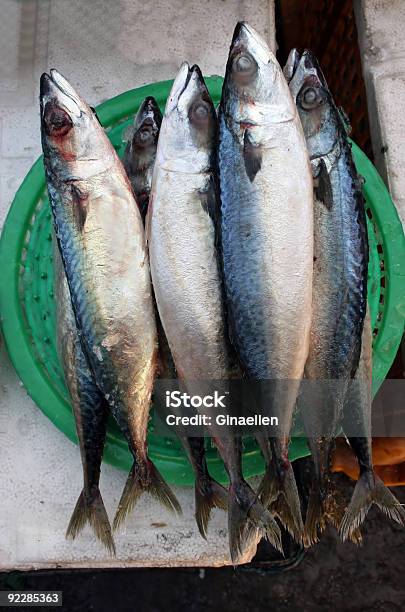 Рыбный Рынок — стоковые фотографии и другие картинки Без людей - Без людей, Вариация, Вертикальный