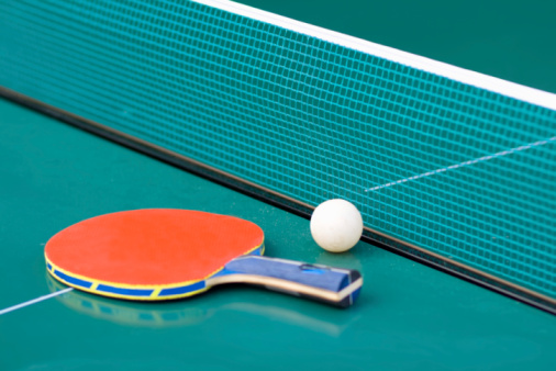 Ping pong paddle and table with net