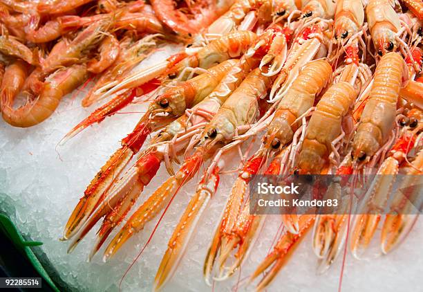 赤色スカンピと海老氷の上にバルセロナの魚市場 - エビ料理のストックフォトや画像を多数ご用意 - エビ料理, カッコいい, カラー画像