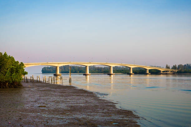 Here we see a powerful scene with transportation theme, where the old meets the new.  In the foreground, Mangrove habitat at low tide.  An endangered and ever decreasing ecosystem.  In the background, towering above it, stands the newly built Siri Lanta Bridge.  This structure now connects the islands of Ko Lanta Yai and Ko Lanta Noi, Krabi, Thailand.