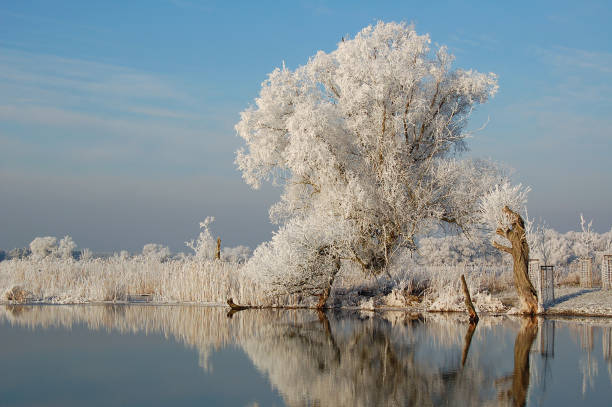 istock winter landscape of a river 92286012