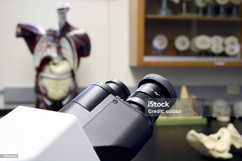 Science Lab Objectas Microscope Front Science Lab Microscope Stock Photo - Download Image Now - Anatomy ...