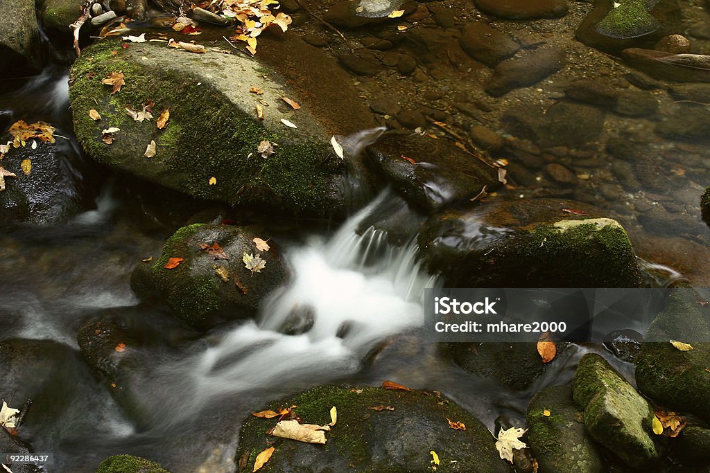 秋の葉の小川 - からっぽのロイヤリティフリーストックフォト