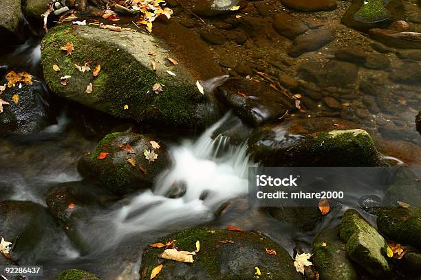 Folhas De Outono Em Um Curso - Fotografias de stock e mais imagens de Ao Ar Livre - Ao Ar Livre, Beleza natural, Caminho Natural de Roaring Fork Motor