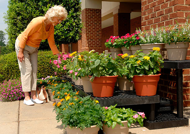 istock Senior Woman Shopping 92286523