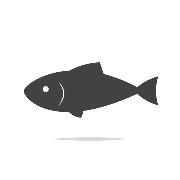 illustrations, cliparts, dessins animés et icônes de vecteur d’icône poisson isolé - image clipart illustrations