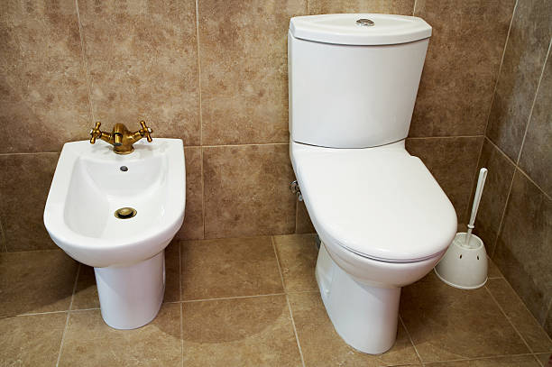 istock Toilet bowl and bidet 92286798