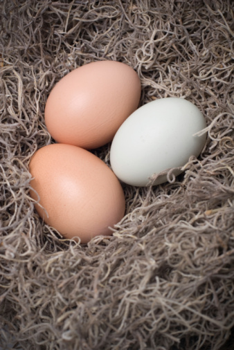 Three colored, spotted eggs in a nest