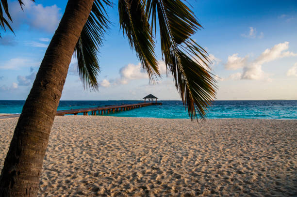 istock Dawn In The Maldives 922872570