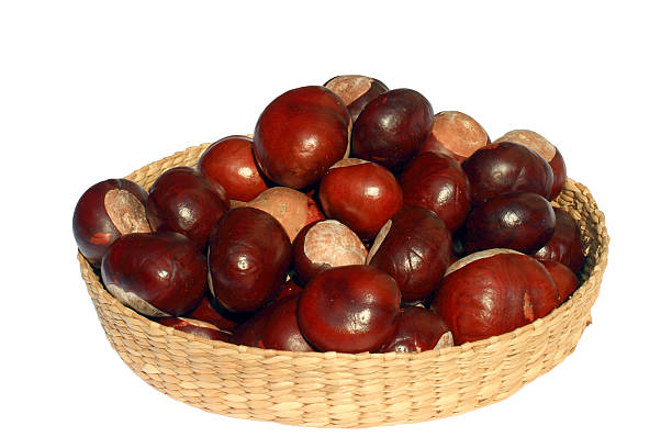 выделение корзина chestnuts - chestnut basket large group of objects isolated стоковые фото и изображения