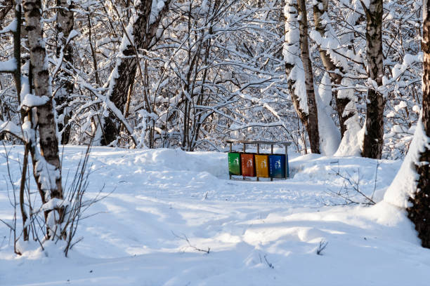 istock Colorful trash bins in a winter park 922875396