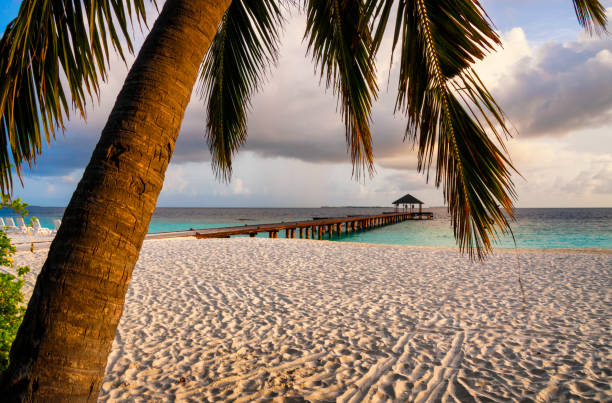 istock Dawn In The Maldives 922875694