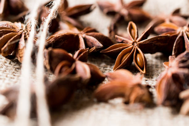 Spice Mix with Cinnamon, Star Anise and Vanilla Pods