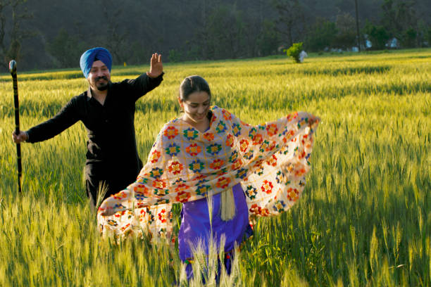 coppia sikh in un campo di grano - bhangra foto e immagini stock