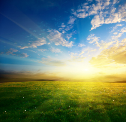 A bright green grassy field during a dramatic sunset.