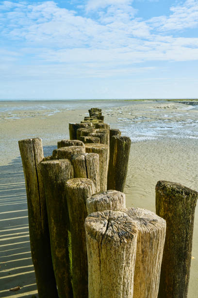 istock Seaside in Brittany, Saint benoit des ondes, France 922887420