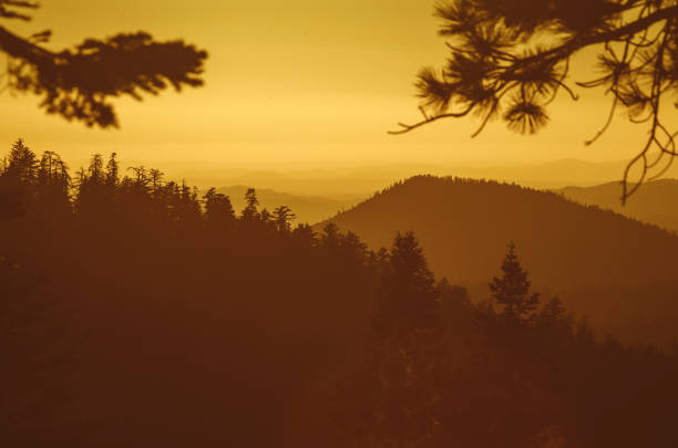 istock Sunset over forest in Yosemite National park 922889614
