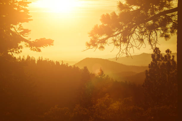 istock Sunset over forest in Yosemite National park 922889618