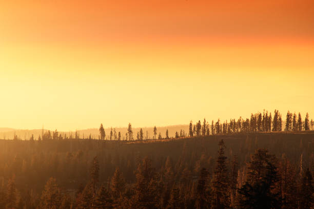 istock Sunset over forest in Yosemite National park 922889620