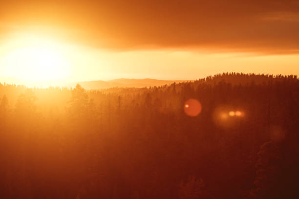 istock Sunset over forest in Yosemite National park 922889630