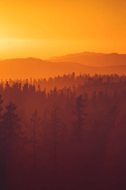 istock Sunset over forest in Yosemite National park 922889682