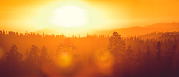 istock Sunset over forest in Yosemite National park 922889696