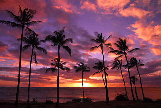 pôr do sol do havaiano molokai havaí - molokai - fotografias e filmes do acervo