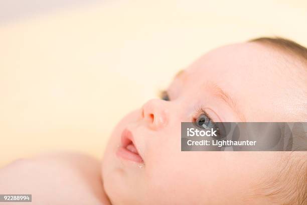 Newborn Stock Photo - Download Image Now - 0-11 Months, Affectionate, Babies Only