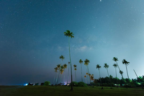 istock Milky Way. Beautiful summer night sky with coconut trees. Background. 922890176