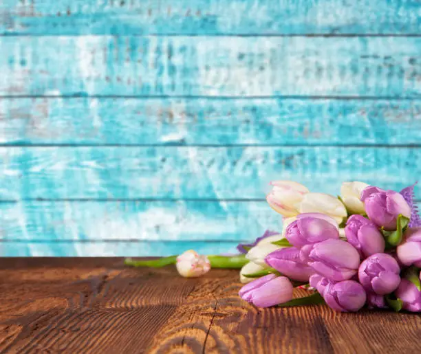 Bouquet of colored tulips placed on vintage wooden planks. Spring and Easter background with copy space