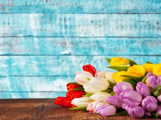 Bouquet of colored tulips placed on vintage wooden planks. Spring and Easter background with copy space