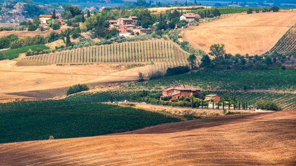 istock Summer landscape near Montepulciano 922898426