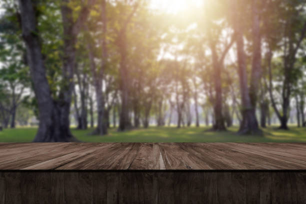 istock Wooden table and blurry nature of forest in background. 922901176