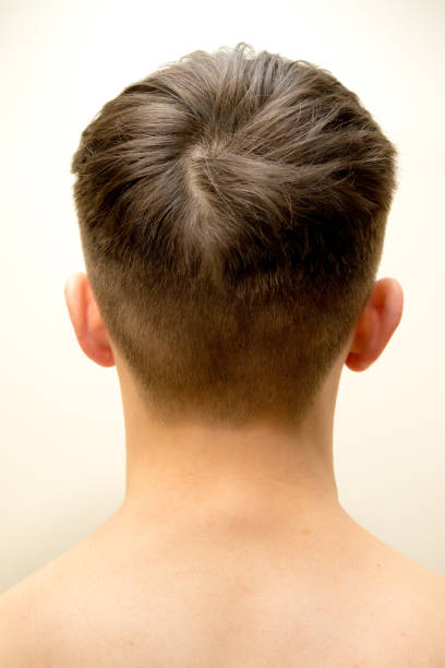 Reverse portrait of a young adult's head