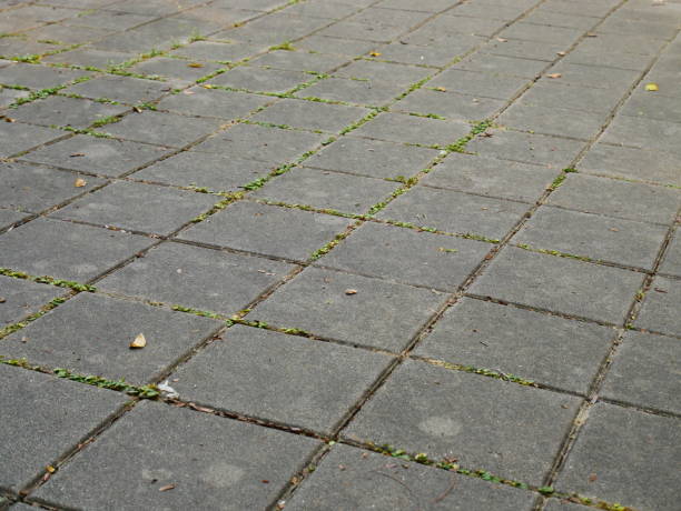 istock The Stone block walk path with green grass 922921716