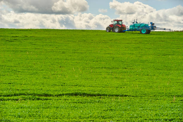 istock Tractor spraying pesticides on field with sprayer 922933748