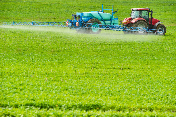 istock Tractor spraying pesticides on field with sprayer 922934016