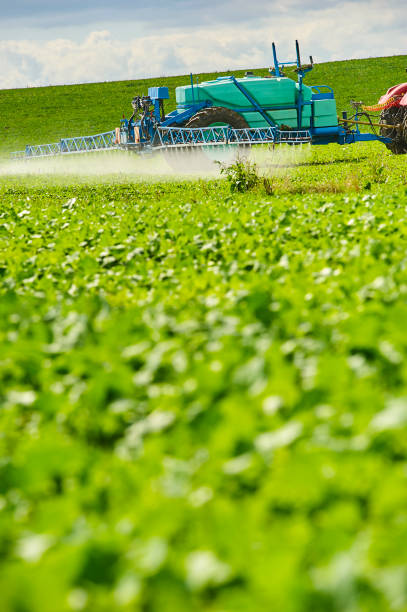 istock Tractor spraying pesticides on field with sprayer 922934018