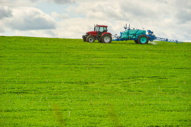 istock Tractor spraying pesticides on field with sprayer 922934170