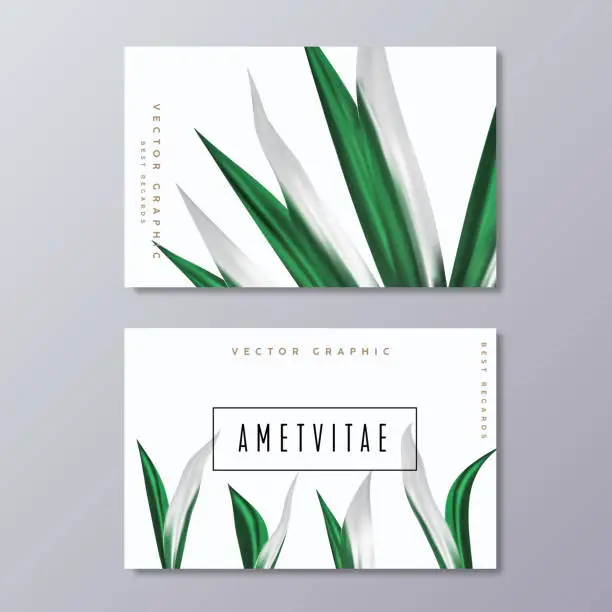 Vector illustration of Business Card Green Floral Design Template